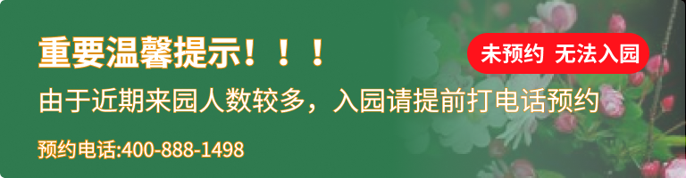 思亲园陵园