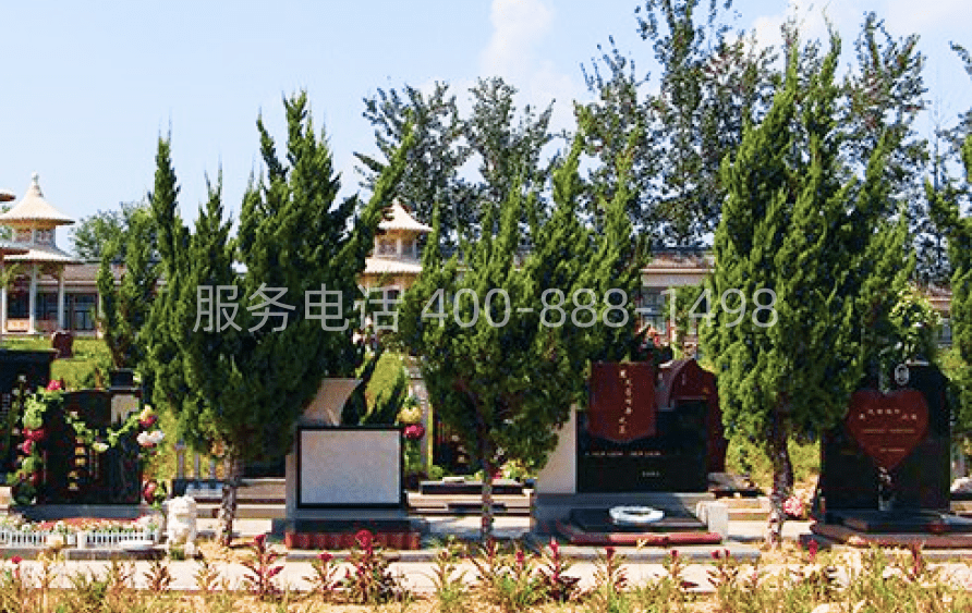 思亲园公墓环境07